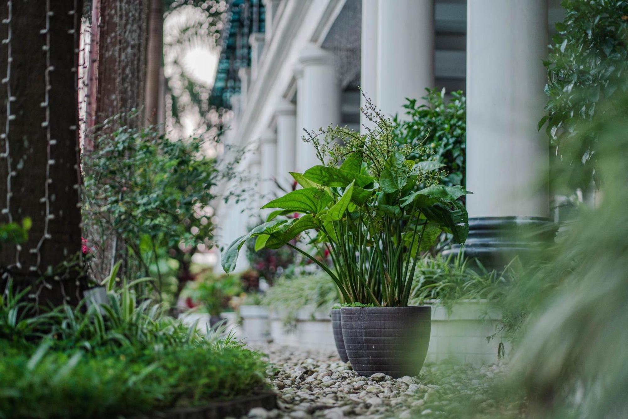 May Plaza Hotel Thai Nguyen Exterior photo